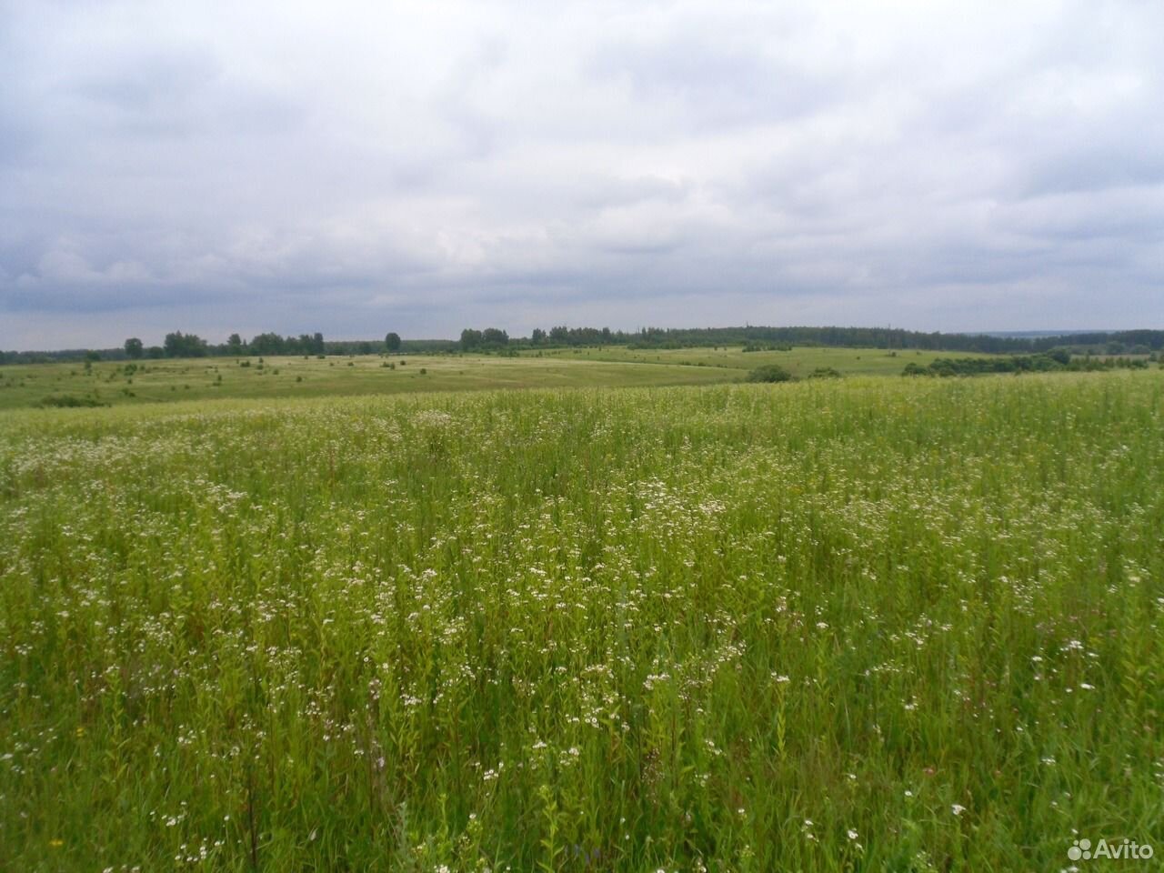 Бабынинский Район Фото