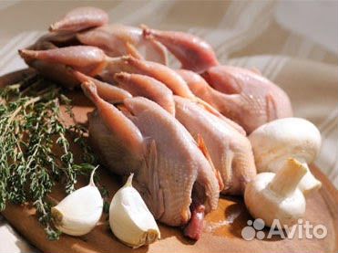 Мясо перепелов купить на Зозу.ру - фотография № 1