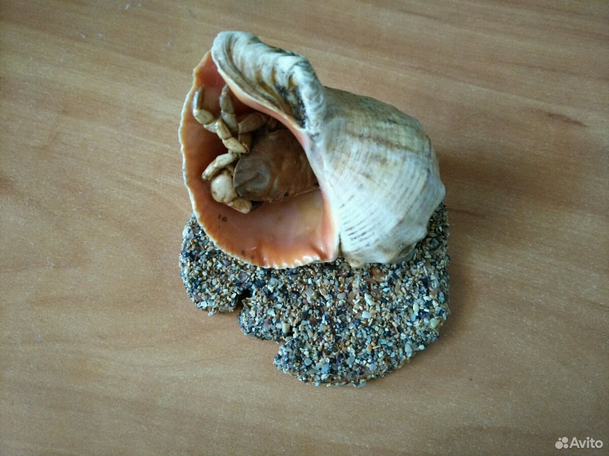 Крабик из ракушек