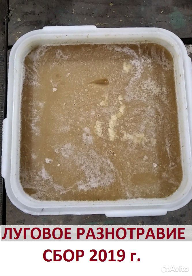Продам настоящий вкусный мед в Тосно купить на Зозу.ру - фотография № 3