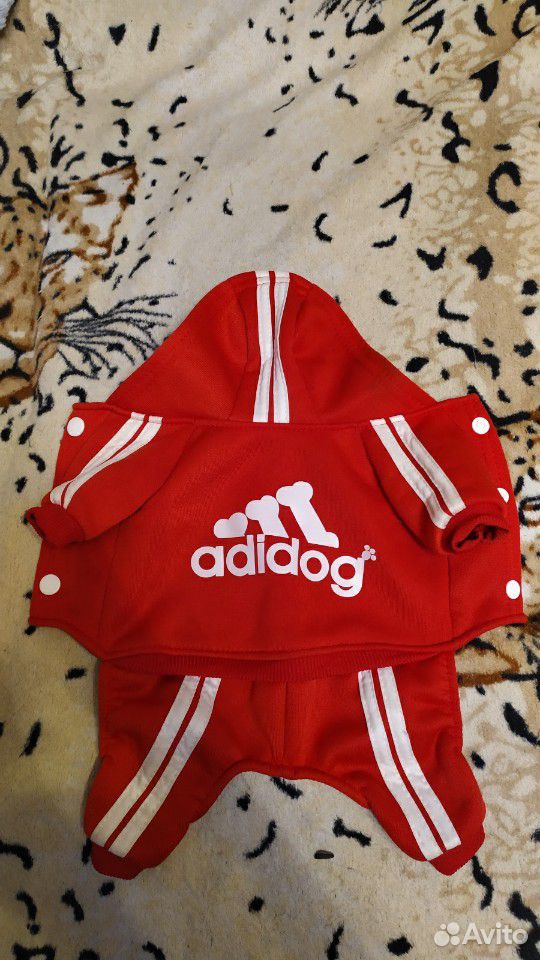 Красный спортивный костюм для собак купить на Зозу.ру - фотография № 1
