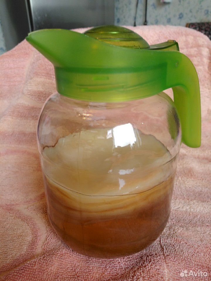 Чайный гриб (медузомицет) купить на Зозу.ру - фотография № 2