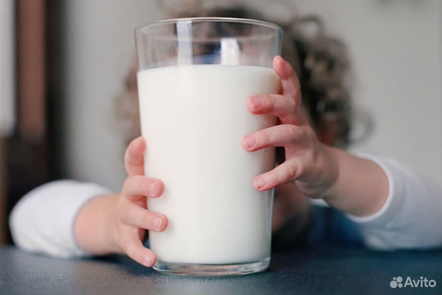 Молоко козье Нубийской породы купить на Зозу.ру - фотография № 5