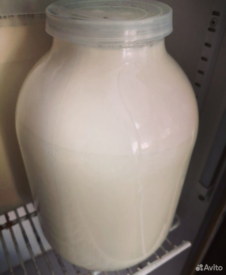 Молоко для сыра купить на Зозу.ру - фотография № 1