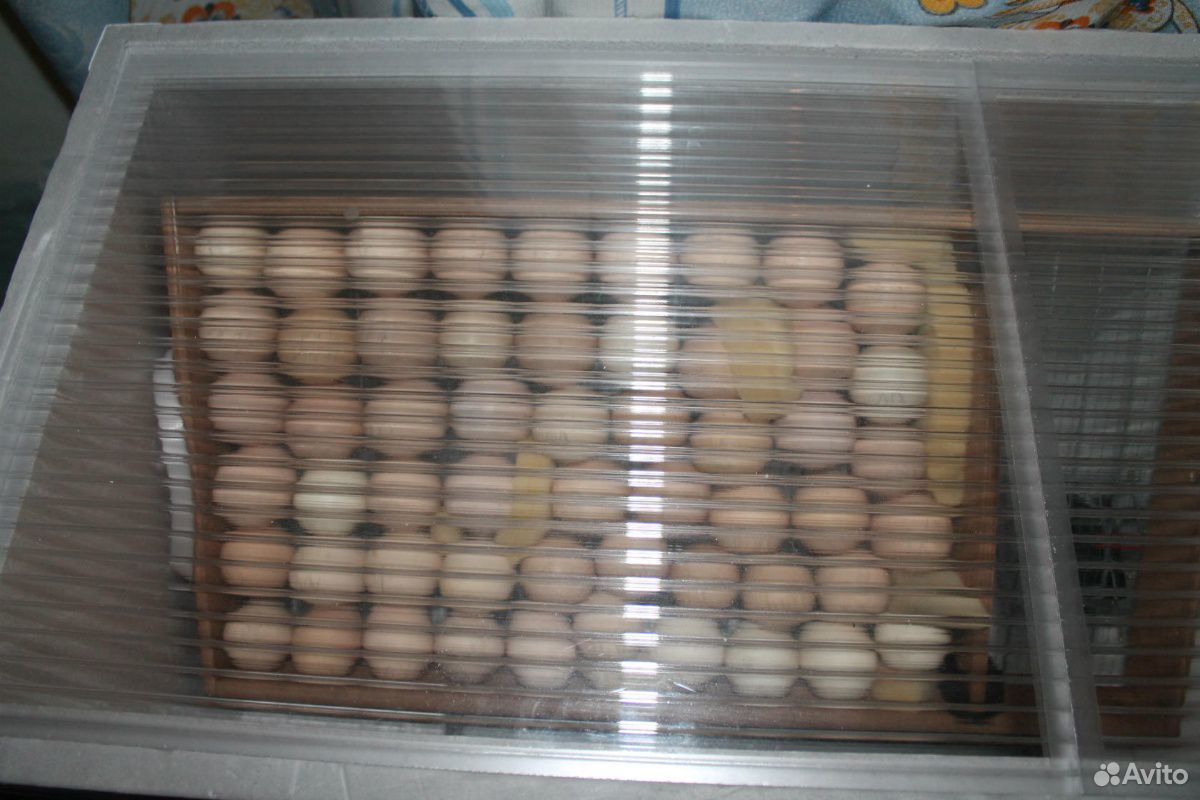 Инкубатор на 72 яйца и 120 яиц купить на Зозу.ру - фотография № 1