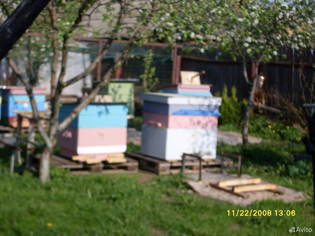 Пчёлы ульи ловушки купить на Зозу.ру - фотография № 2