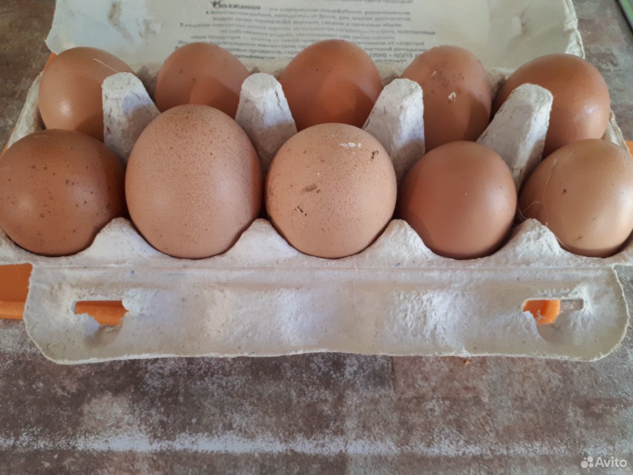 Домашнее куриное яйцо купить на Зозу.ру - фотография № 1