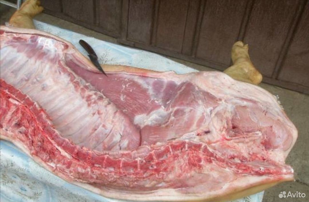 Парное мясо свинины, домашнее купить на Зозу.ру - фотография № 1