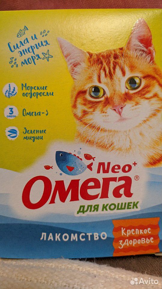 Ренал для кошек купить на Зозу.ру - фотография № 5