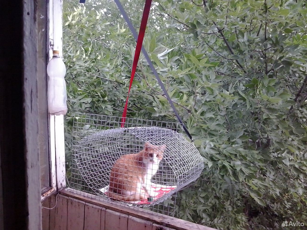 Внешняя клетка на балкон для кошки купить на Зозу.ру - фотография № 2