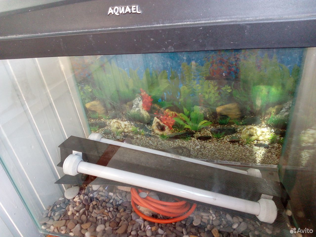 Отдам аквариум с оборудованием для рыб 80 литров купить на Зозу.ру - фотография № 1