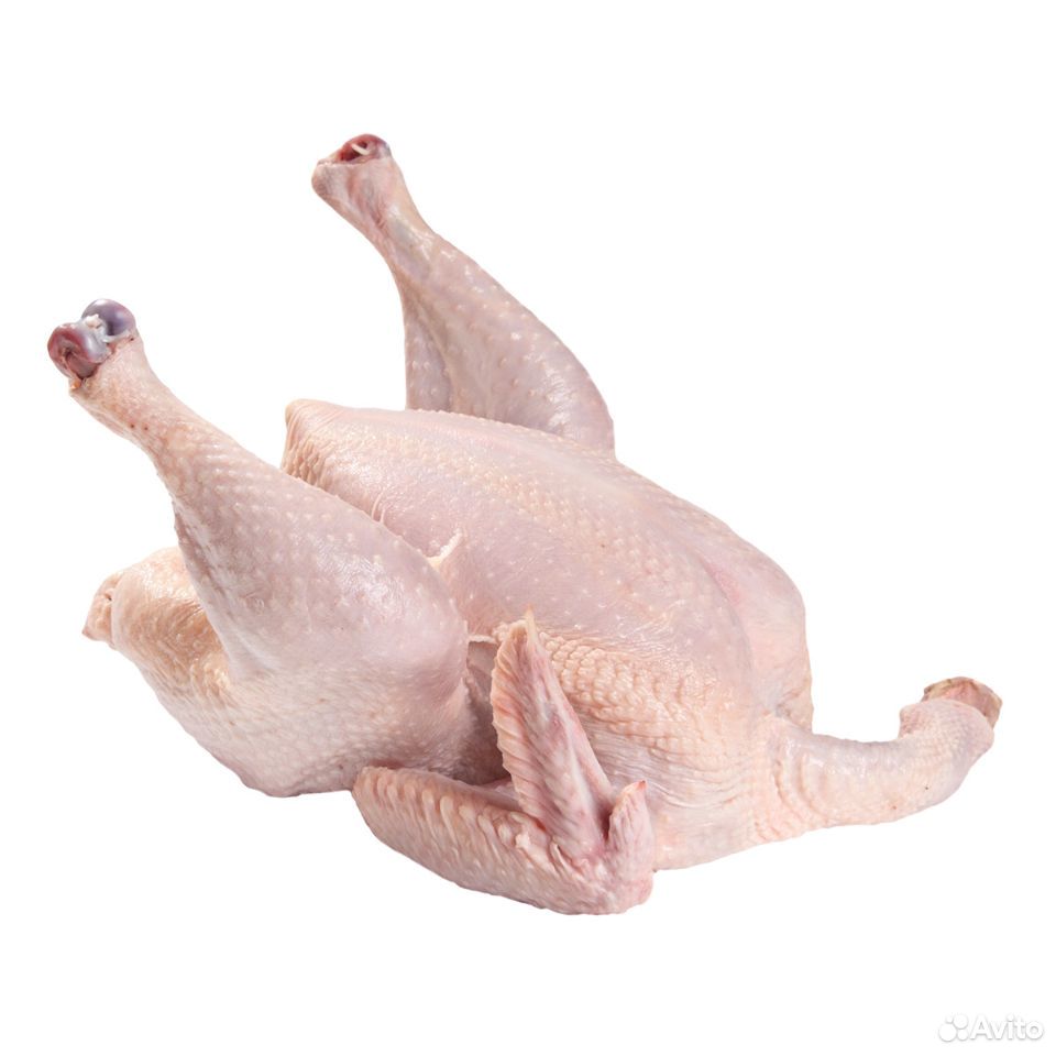 Свое домашнее мясо курицы, утки, гуся купить на Зозу.ру - фотография № 1