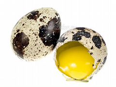 Яйцо Перепелиное для еды очень полезное