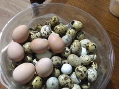 Продажа инкубационных яиц перепелов