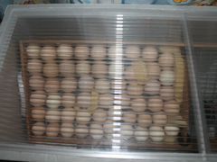 Инкубатор на 72 яйца и 120 яиц