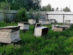 Пчелы, улья, медогонка, рамки