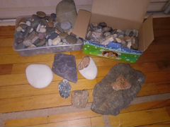 Морская галька и камни для аквариума и террариума