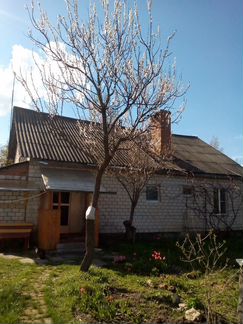 Дом (Белоруссия)