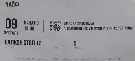 Два билета на концерт группы 