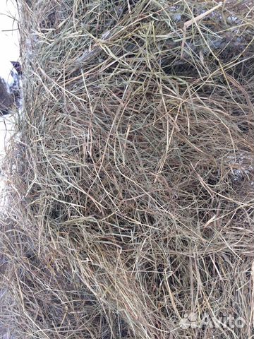 Сено в мешках - тюках