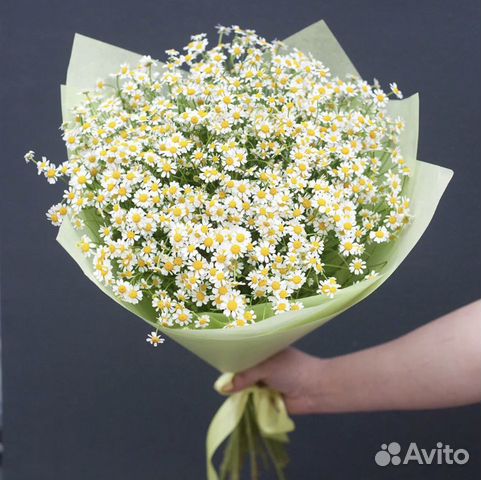 Букет из ромашек 11,15,21,25,51,101