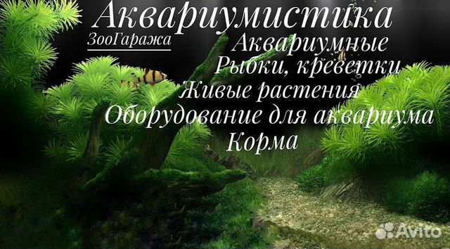 Аквариумные рыбки, растения, корма,Оборудование