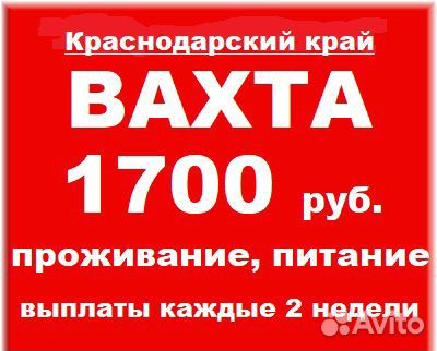 Работа в краснодаре с проживанием свежие. Работа в Майкопе свежие вакансии. Авито Майкоп вакансии. Авито Майкоп работа.