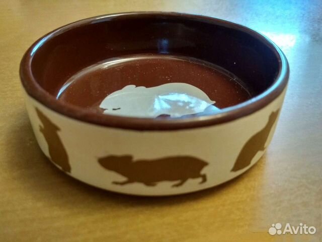 Посуда для кормления животных