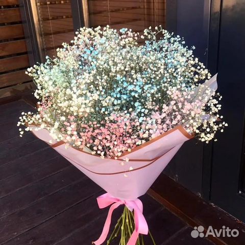 Гипсофила радужная