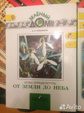 Атлас великан на поляне плешаков