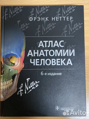Фрэнк неттер атлас. Фрэнк Неттер. Атлас анатомии человека Фрэнк Неттер 4 издание.