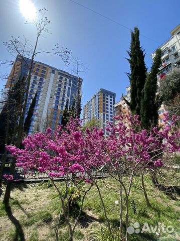 

Квартира-студия, 28 м², 7/17 эт.