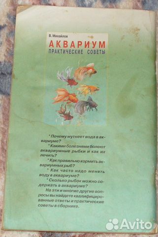 Аквариум практические советы
