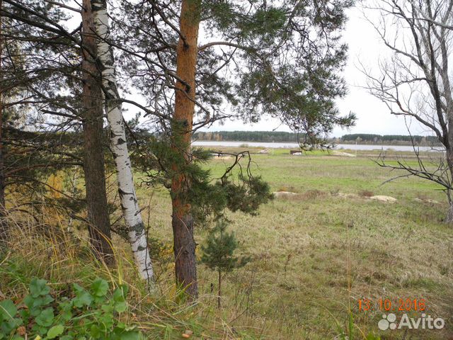 Участок 32 сот. (СНТ, ДНП) Участок 32 сот. (СНТ, ДНП)