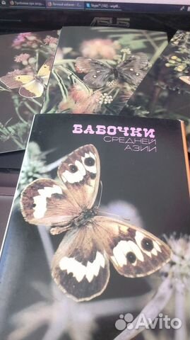 Открытки - бабочки