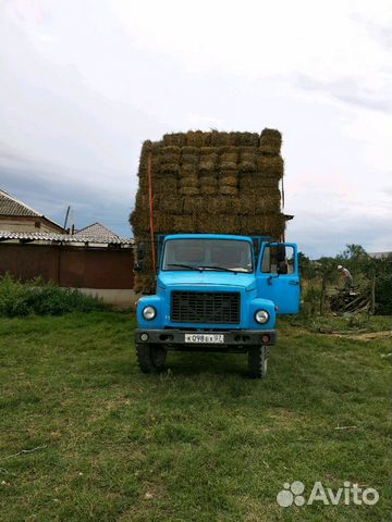 Сено гумай с кукурузой купить на Зозу.ру - фотография № 3