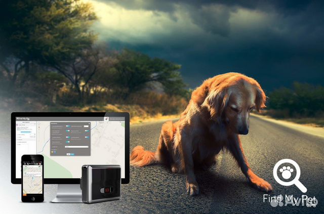 Средство для поиска животных Find My Pet