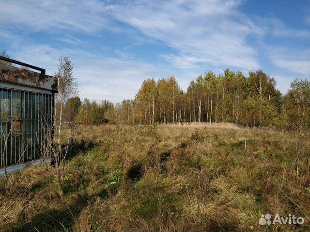 13 участок смоленск. Радкевщина Смоленск.