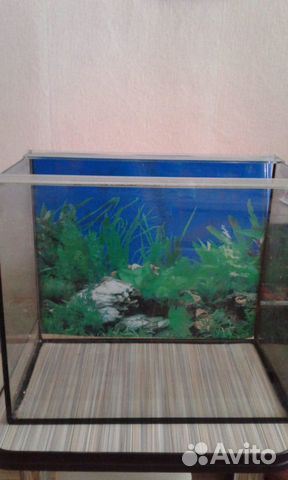 Продам аквариум, новый, 60 литров купить на Зозу.ру - фотография № 1