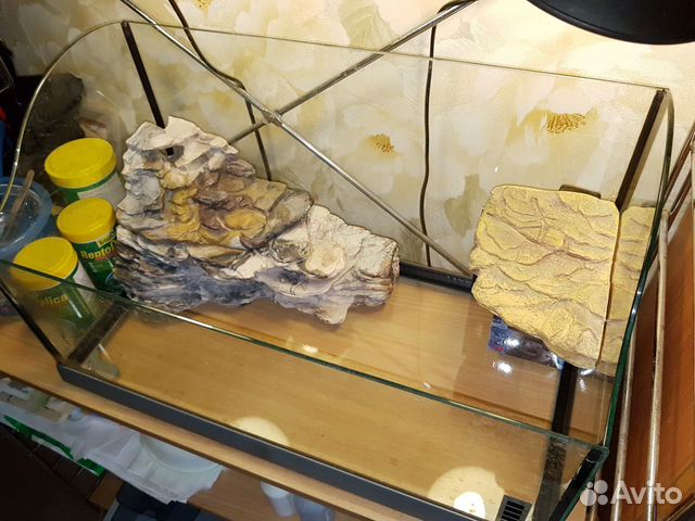 Террариум (аквариум) оборудованный для черепах и з Террариум (аквариум) оборудованный для черепах и з
