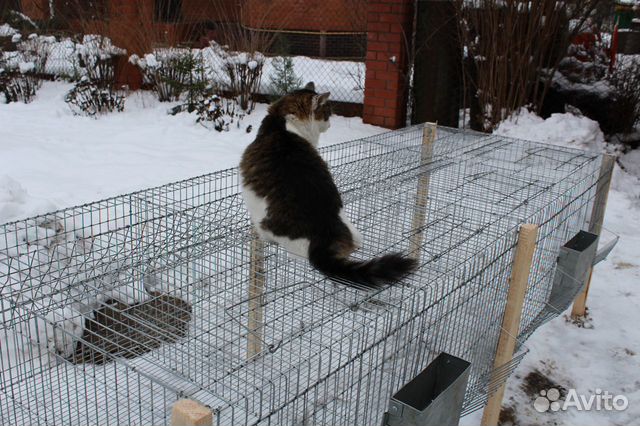 Клетка для кроликов