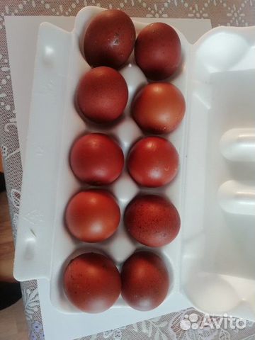 Инкубационные яйцо купить на Зозу.ру - фотография № 2