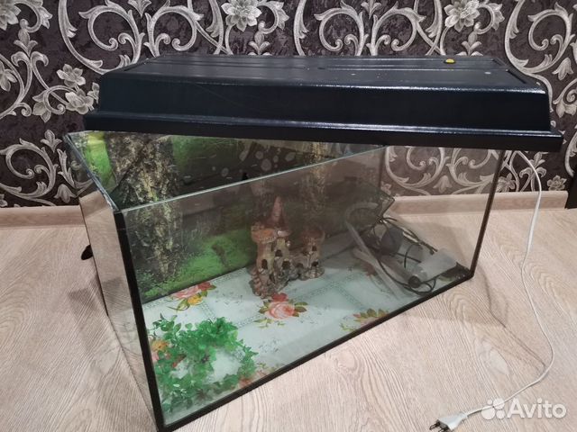 Продам аквариум на 100л купить на Зозу.ру - фотография № 2