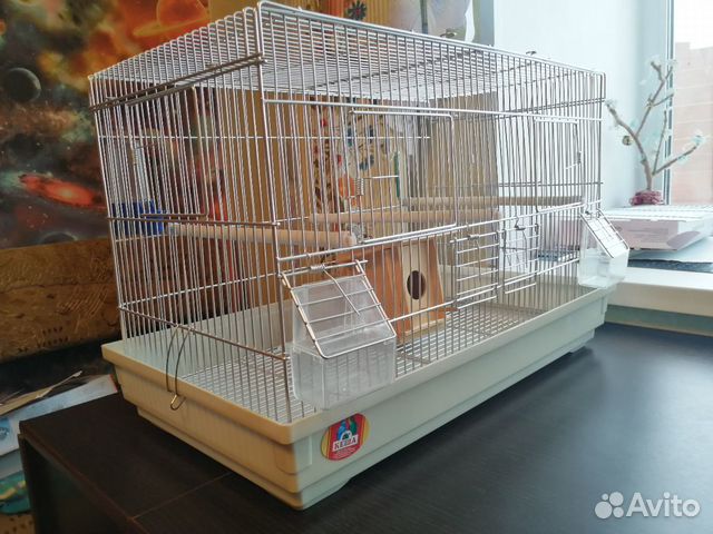 Клетка для птиц купить на Зозу.ру - фотография № 4