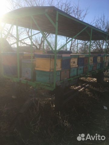 Пчелоприцеп купить на Зозу.ру - фотография № 2