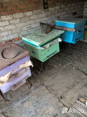 Продам пчел 2е семьи купить на Зозу.ру - фотография № 2