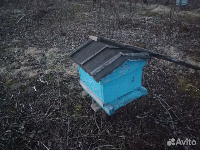 Купить Улья Пчел В Ростовской Области