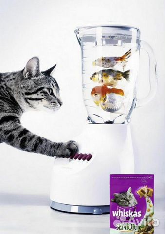 Корм для кошек и котов Корм для кошек и котов