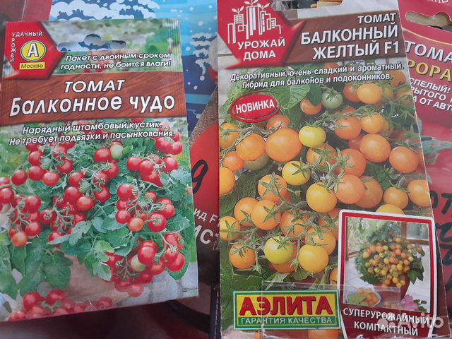 Томат Томск Описание Сорта Фото Отзывы