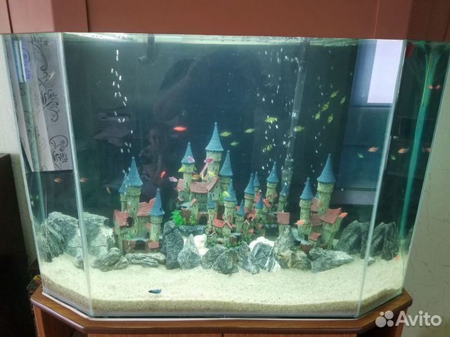 Аквариум под ключ Бугульма, Бавлы, Октябрьск